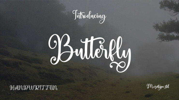 Butterfly Font