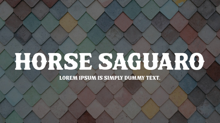 Horse Saguaro Font
