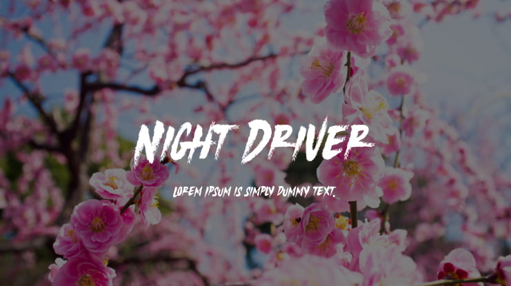 Night Driver Font