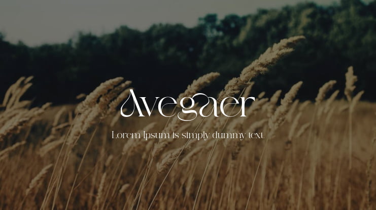 Avegaer Font