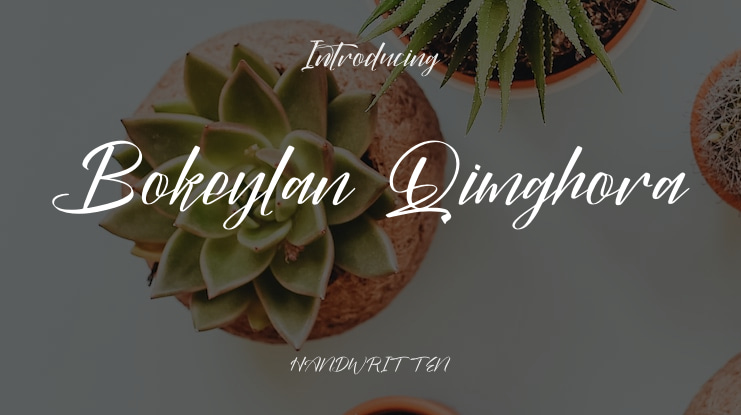 Bokeylan Qimghora Font