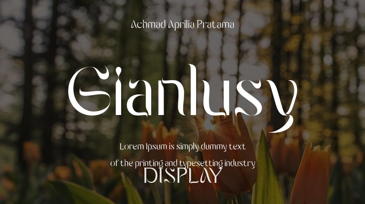 Gianlusy Font