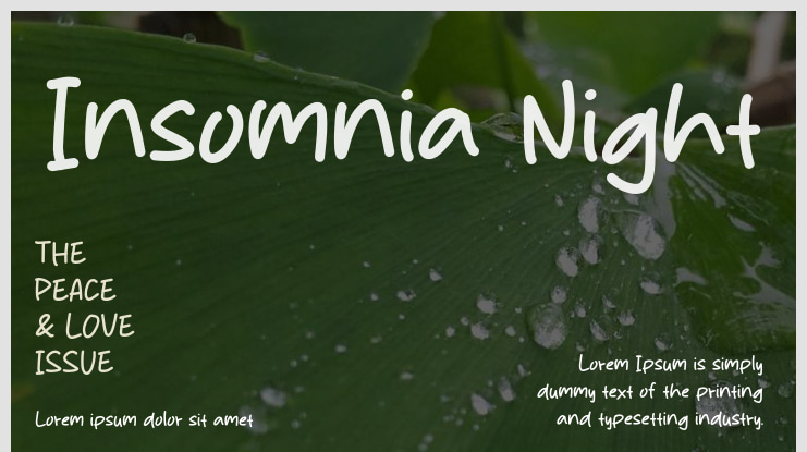 Insomnia Night Font