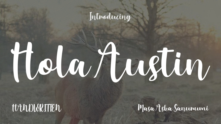 Hola Austin Font