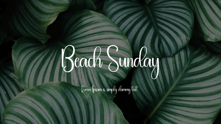 Beach Sunday Font