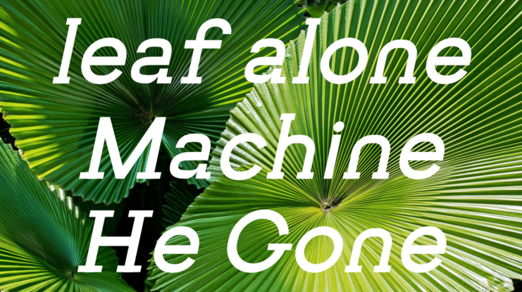 Getboreg Slab italic Font