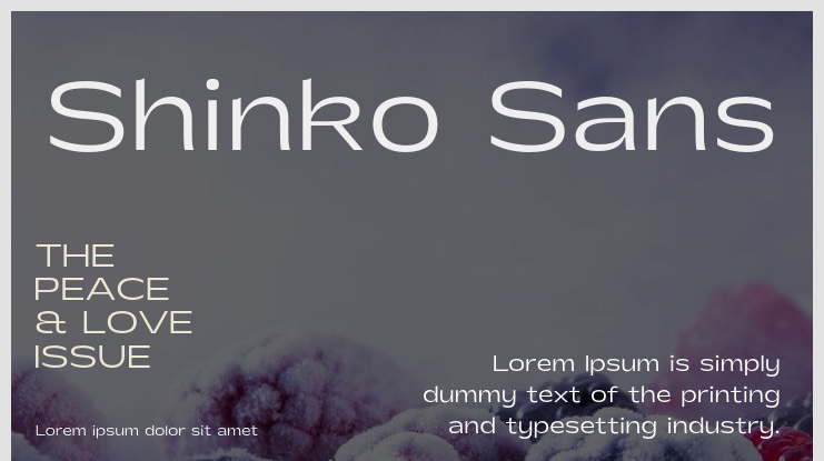 Shinko Sans Font