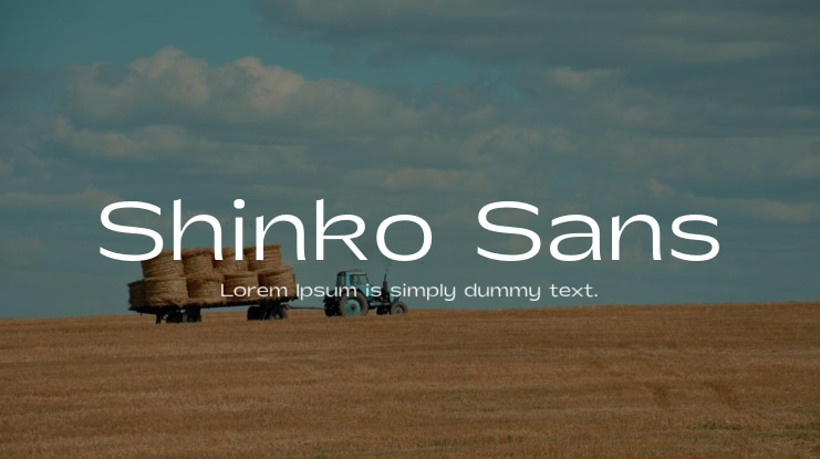 Shinko Sans Font