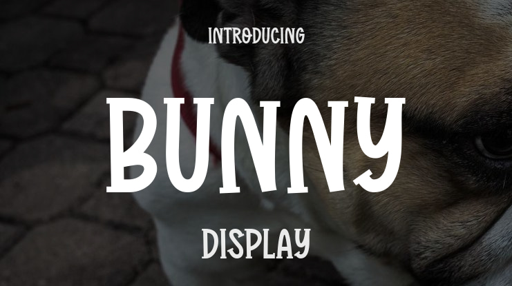Bunny Font
