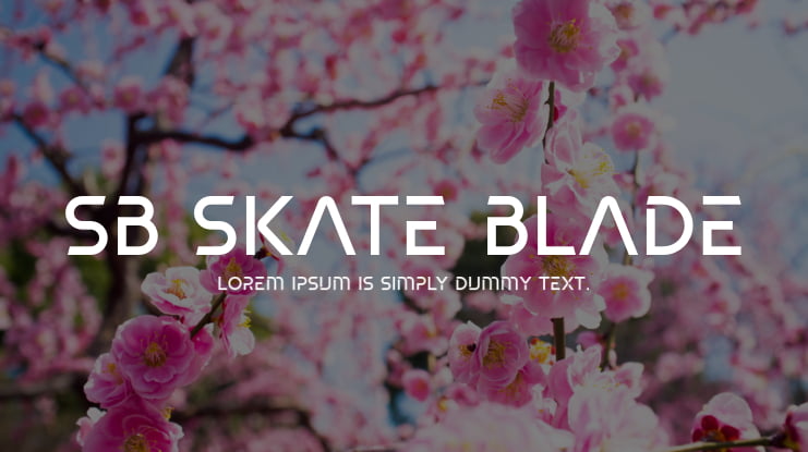 SB Skate blade Font