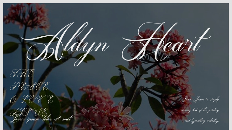 Aldyn Heart Font