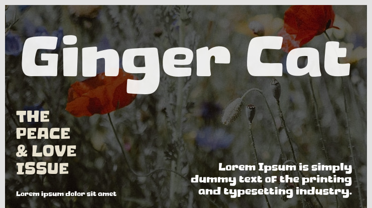 Ginger Cat Font