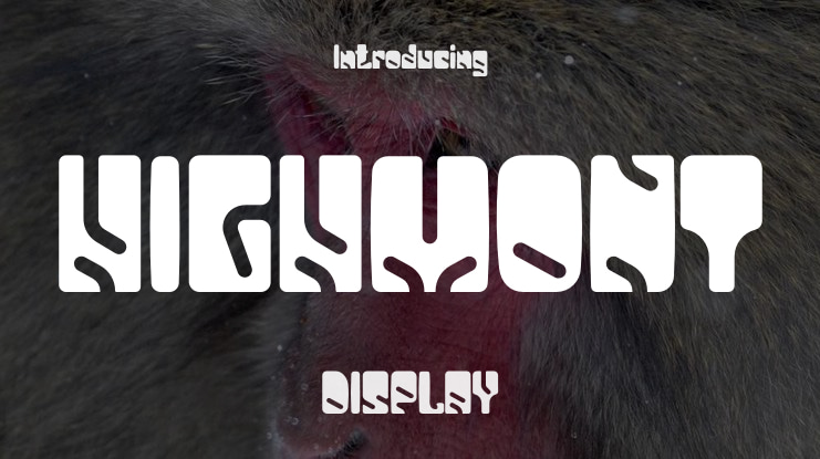 HIGHMONT Font