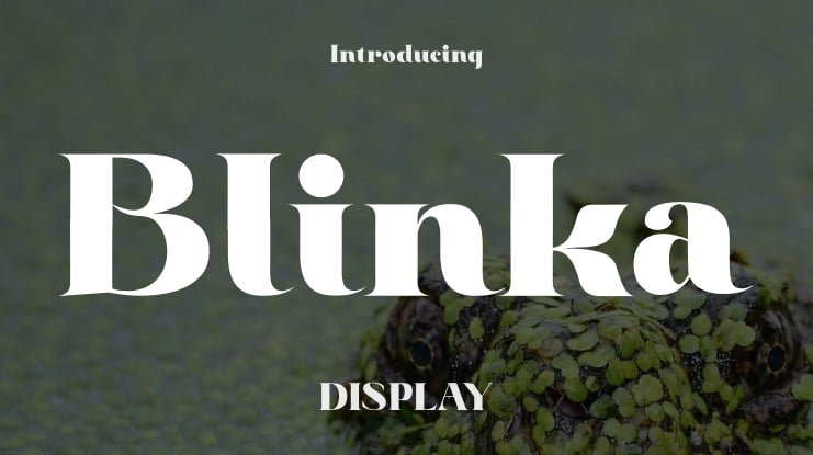 Blinka Font