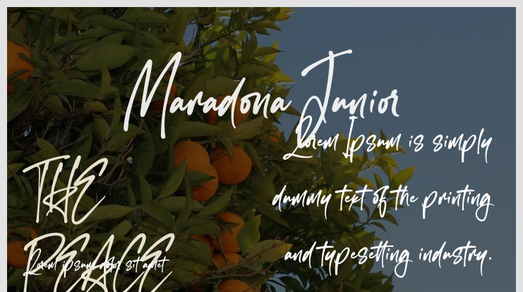 Maradona Junior Font