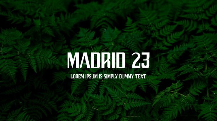 Madrid 23 Font