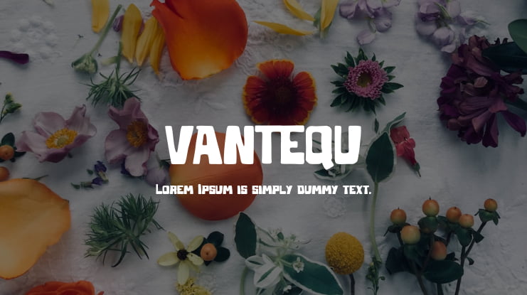 VANTEQU Font