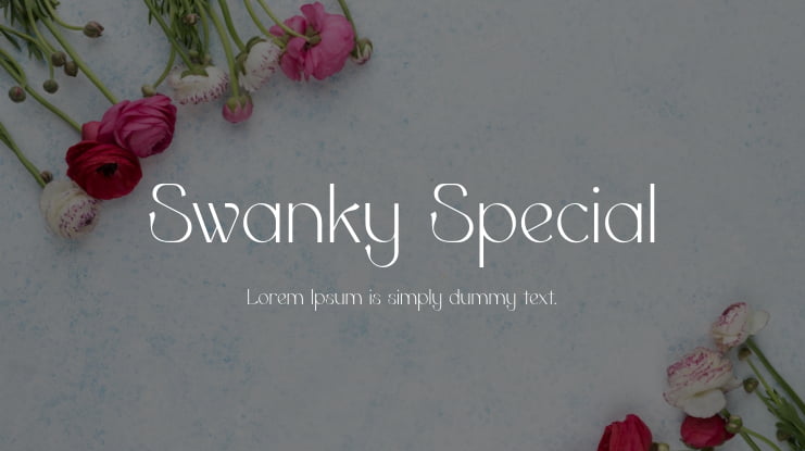 Swanky Special Font