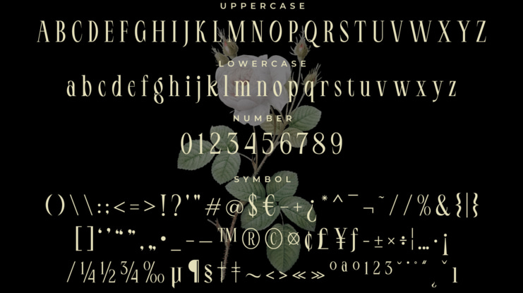 LT Serif Font