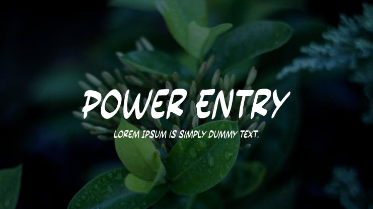 Power Entry Font