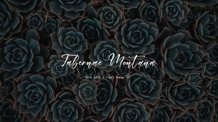 Tabernae Montana Font Family