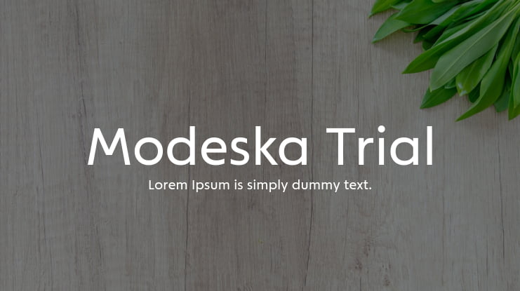 Modeska Trial Font Family