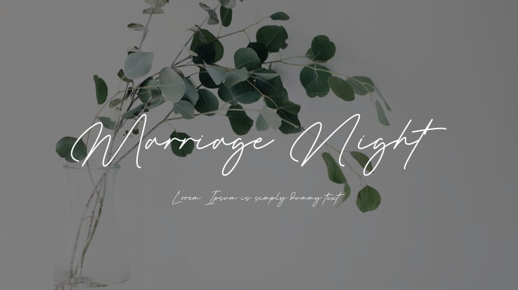 Marriage Night Font
