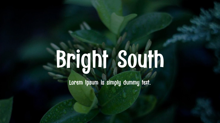 Bright South Font