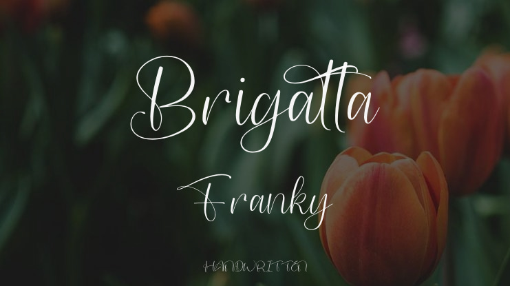 Brigatta Franky Font