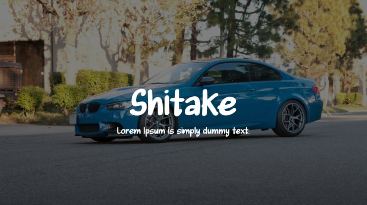 Shitake Font