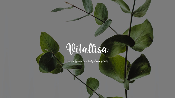 Vitallisa Font