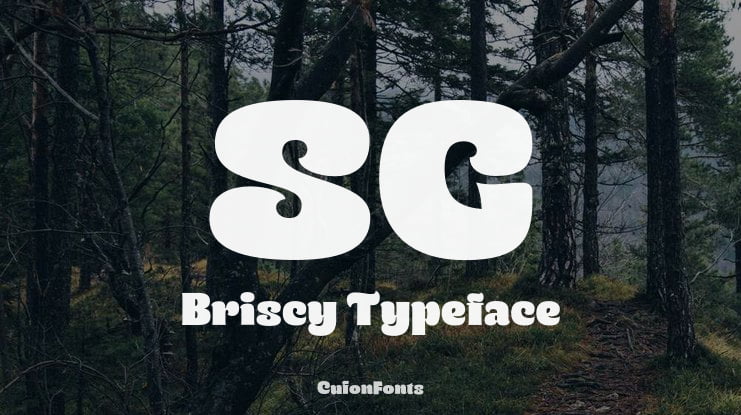 SG Briscy Font