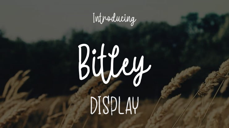 Bitley Font