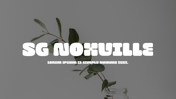 SG Noxville Font