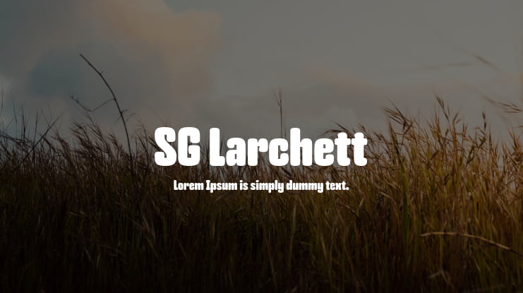 SG Larchett Font