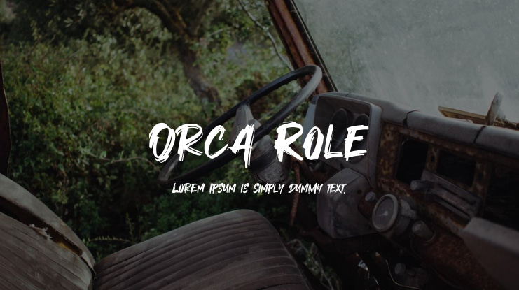 Orca Role Font