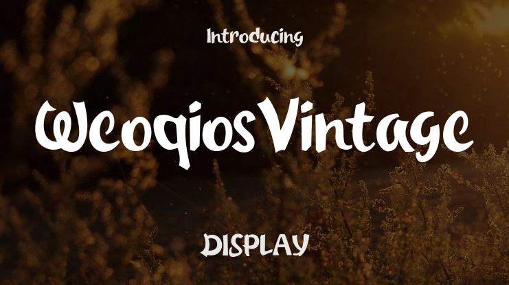 WeoqiosVintage Font