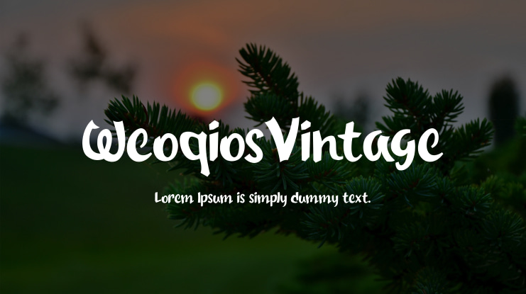 WeoqiosVintage Font