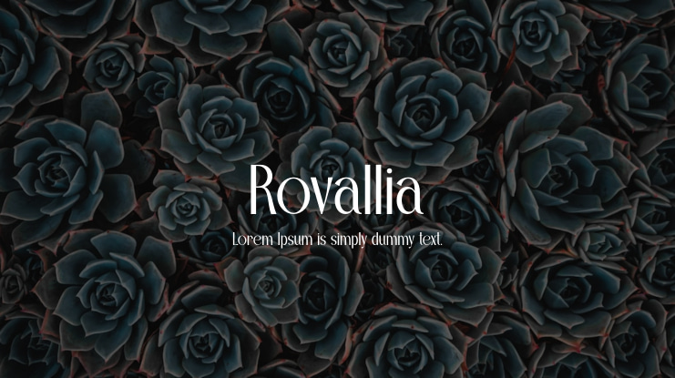 Rovallia Font Family