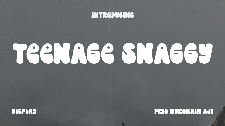 Teenage Snaggy Font