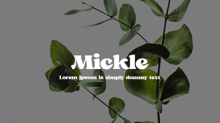 Mickle Font