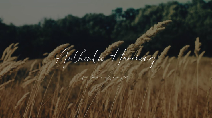 Authentic Harmony Font