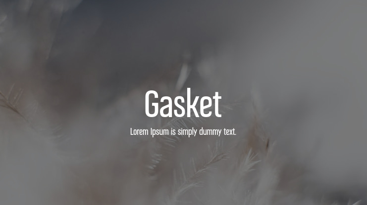 Gasket Font