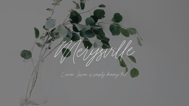 Merysville Font