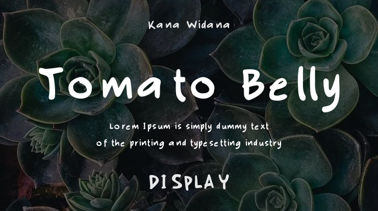Tomato Belly Font