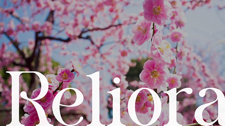 Reliora Font