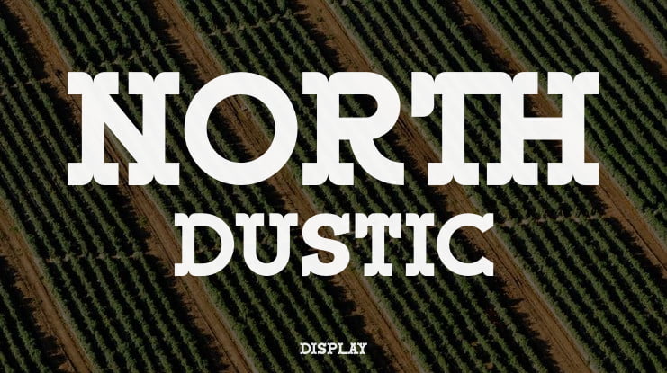 NORTH DUSTIC Font