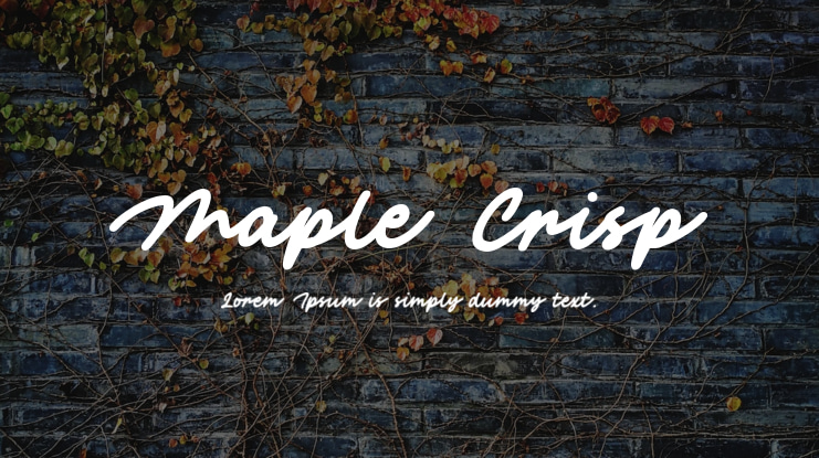 Maple Crisp Font