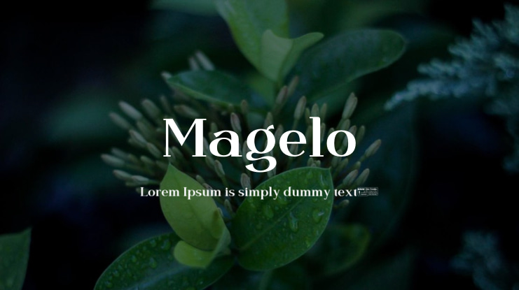 Magelo Font