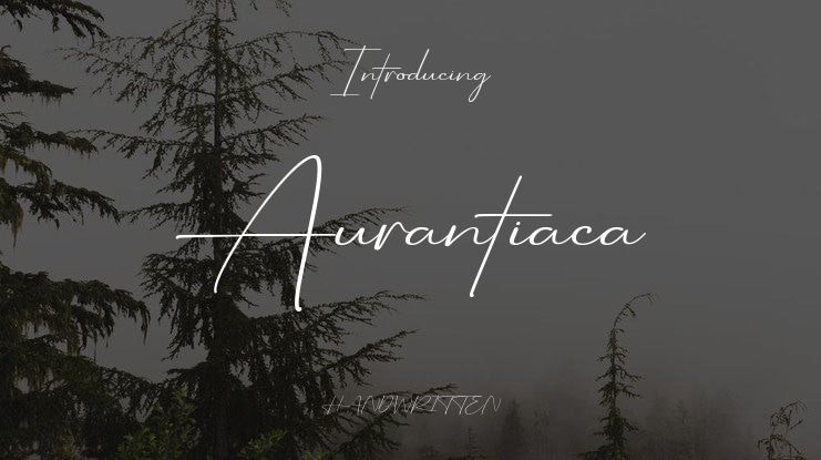 Aurantiaca Font